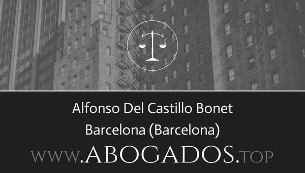 abogado Alfonso Del Castillo Bonet en Barcelona