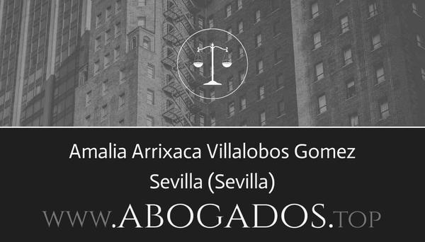 abogado Amalia Arrixaca Villalobos Gomez en Sevilla