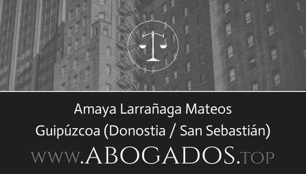 abogado Amaya Larrañaga Mateos en Donostia / San Sebastián