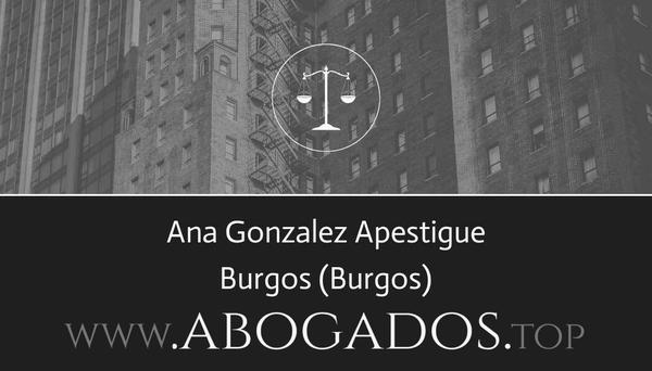 abogado Ana Gonzalez Apestigue en Burgos