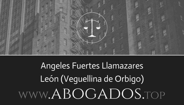 abogado Angeles Fuertes Llamazares en Veguellina de Orbigo