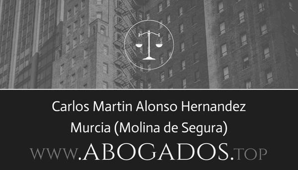 Carlos Martin Alonso Hernandez