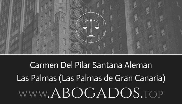 abogado Carmen Del Pilar Santana Aleman en Las Palmas de Gran Canaria