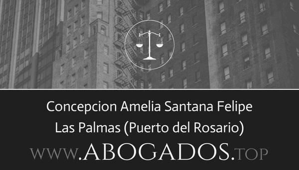 Concepcion Amelia Santana Felipe