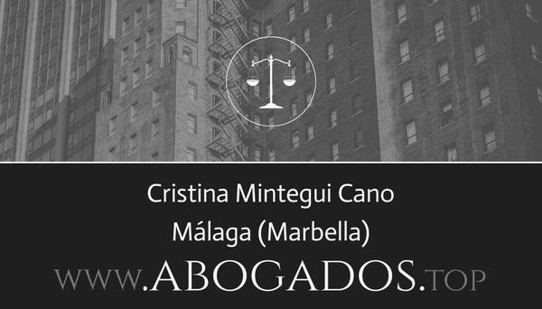 abogado Cristina Mintegui Cano en Marbella