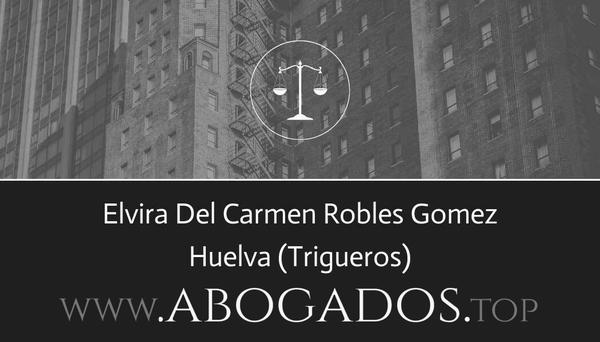 Elvira Del Carmen Robles Gomez