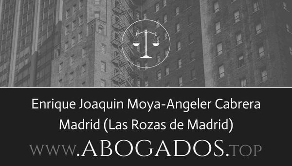 abogado Enrique Joaquin Moya-Angeler Cabrera en Las Rozas de Madrid