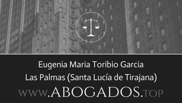 abogado Eugenia Maria Toribio Garcia en Santa Lucía de Tirajana