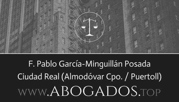 F Pablo García-Minguillán Posada