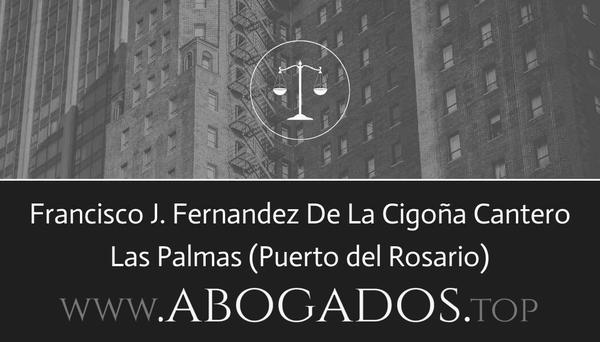 Francisco J Fernandez De La Cigoña Cantero