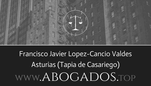 Francisco Javier Lopez-Cancio Valdes