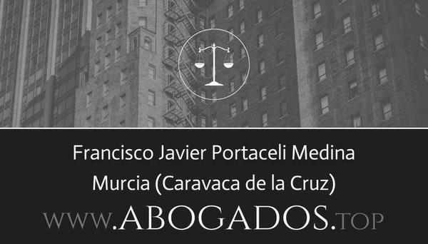 Francisco Javier Portaceli Medina