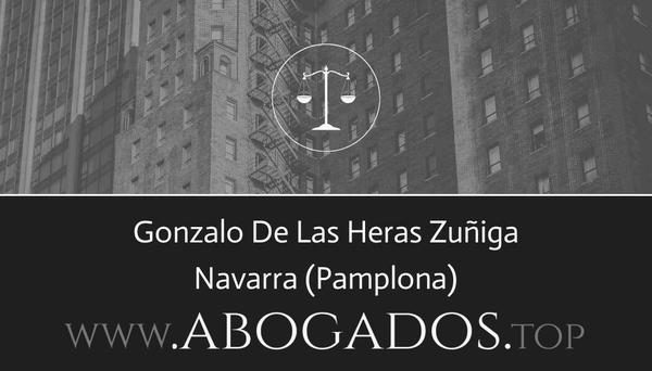 abogado Gonzalo De Las Heras Zuñiga en Pamplona