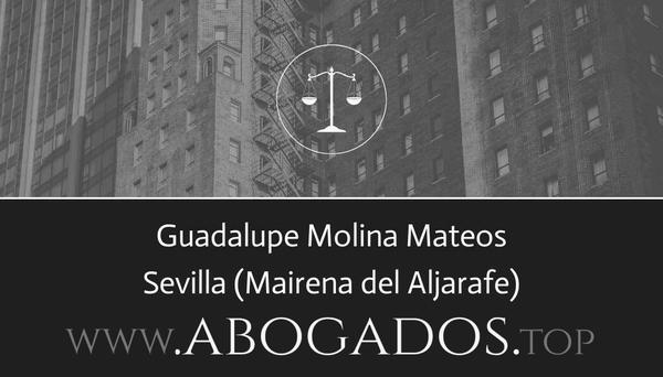 Guadalupe Molina Mateos