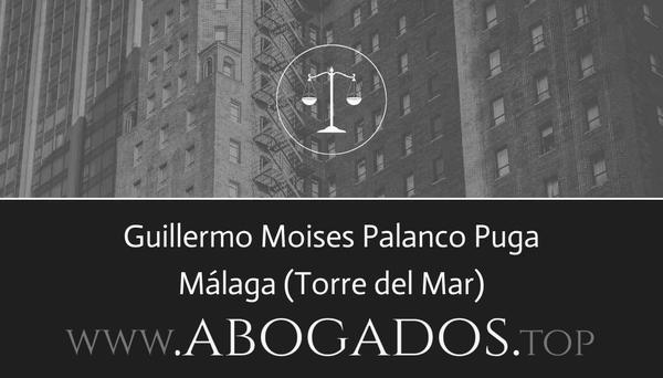 Guillermo Moises Palanco Puga