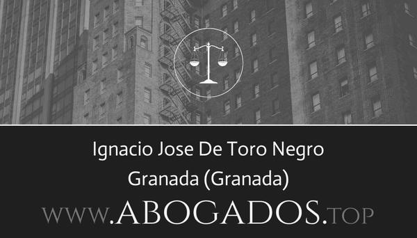 abogado Ignacio Jose De Toro Negro en Granada