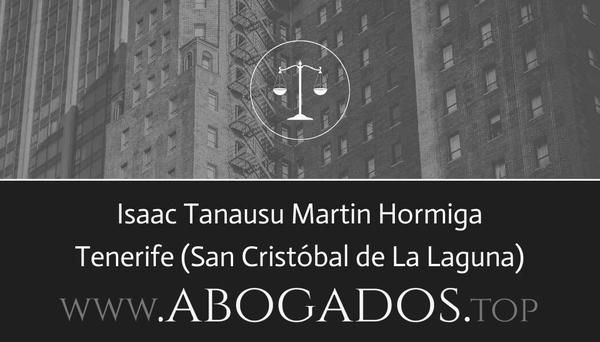 Isaac Tanausu Martin Hormiga