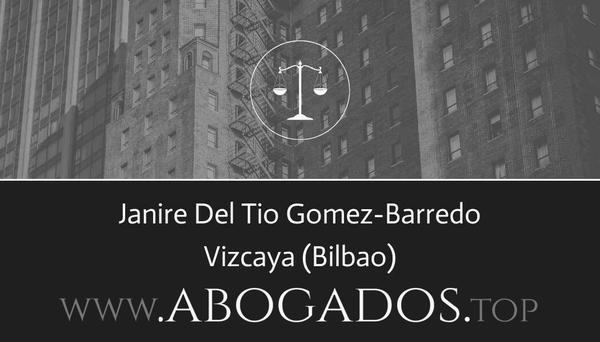 abogado Janire Del Tio Gomez-Barredo en Bilbao