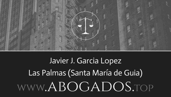 Javier J Garcia Lopez