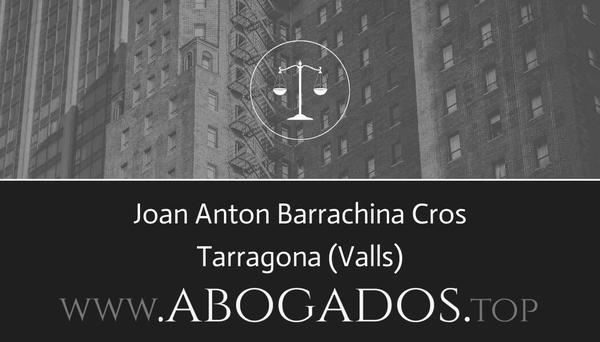 Joan Anton Barrachina Cros