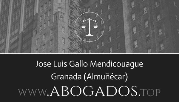 Jose Luis Gallo Mendicouague