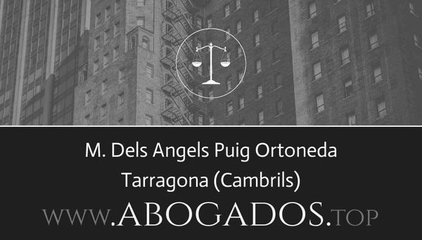 M Dels Angels Puig Ortoneda