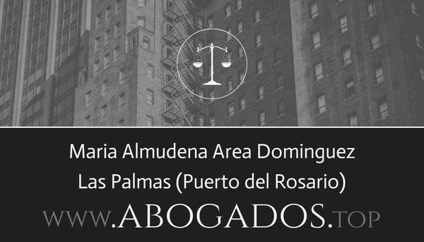 Maria Almudena Area Dominguez