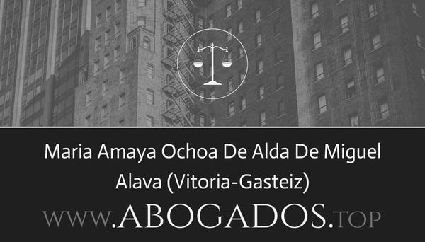 abogado Maria Amaya Ochoa De Alda De Miguel en Vitoria-Gasteiz