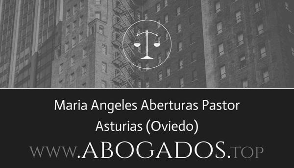 abogado Maria Angeles Aberturas Pastor en Oviedo