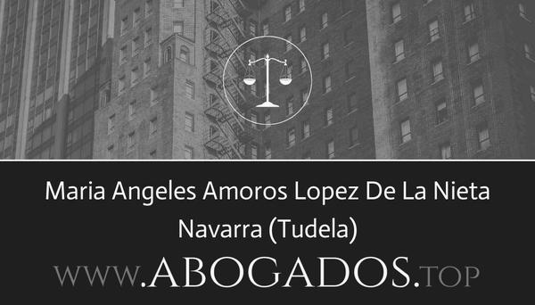 abogado Maria Angeles Amoros Lopez De La Nieta en Tudela