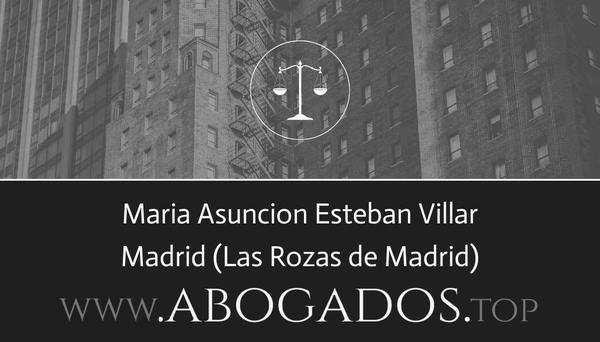 abogado Maria Asuncion Esteban Villar en Las Rozas de Madrid