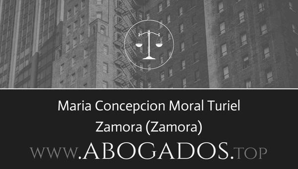 abogado Maria Concepcion Moral Turiel en Zamora