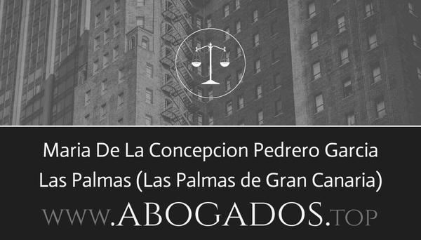 Maria De La Concepcion Pedrero Garcia