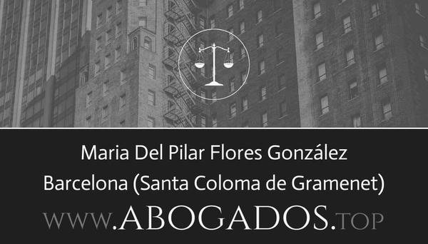 abogado Maria Del Pilar Flores González en Santa Coloma de Gramenet