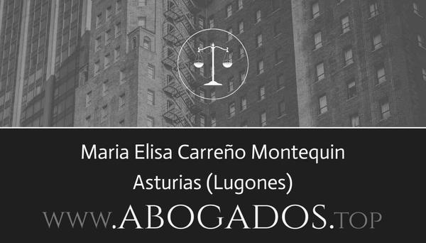 Maria Elisa Carreño Montequin