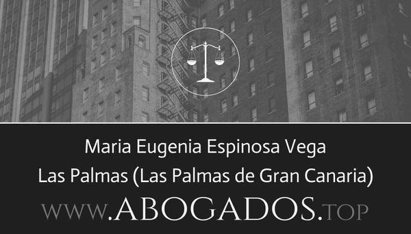 abogado Maria Eugenia Espinosa Vega en Las Palmas de Gran Canaria