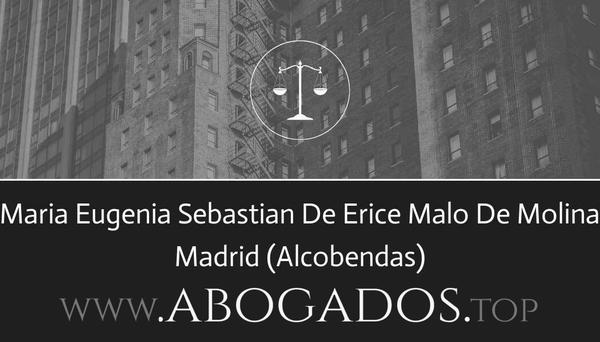 abogado Maria Eugenia Sebastian De Erice Malo De Molina en Alcobendas