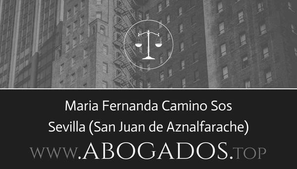 Maria Fernanda Camino Sos