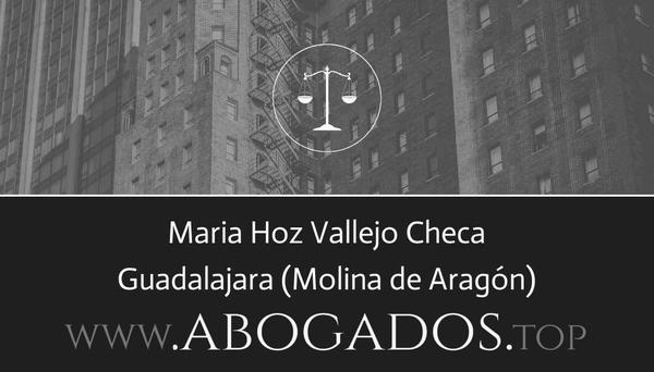 Maria Hoz Vallejo Checa