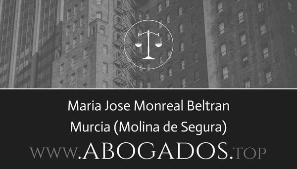 Maria Jose Monreal Beltran