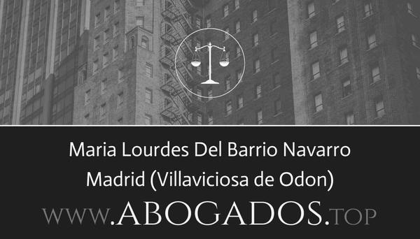 Maria Lourdes Del Barrio Navarro