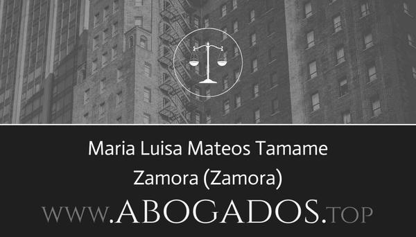 abogado Maria Luisa Mateos Tamame en Zamora