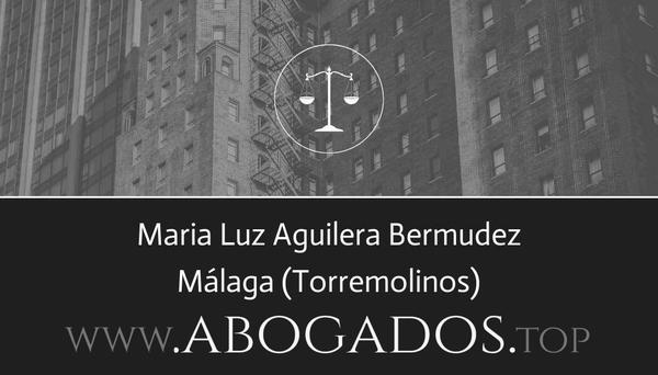 abogado Maria Luz Aguilera Bermudez en Torremolinos