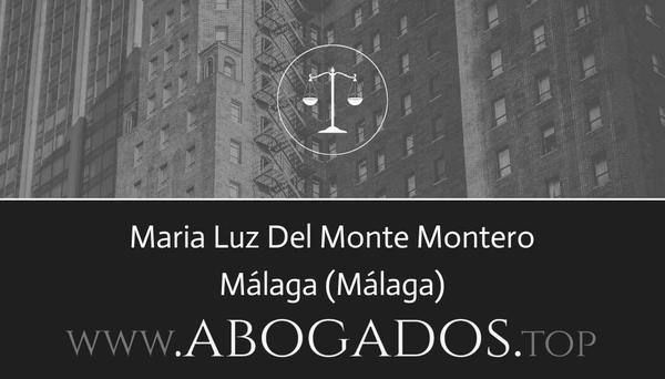 abogado Maria Luz Del Monte Montero en Málaga