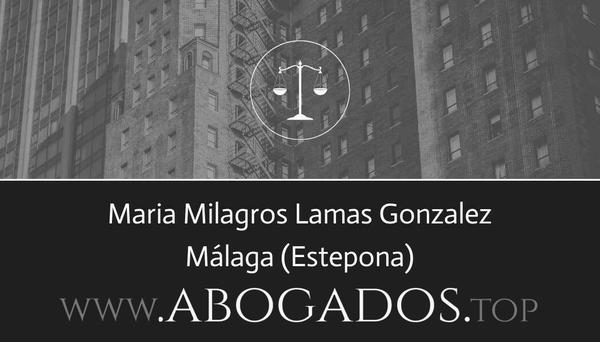 Maria Milagros Lamas Gonzalez