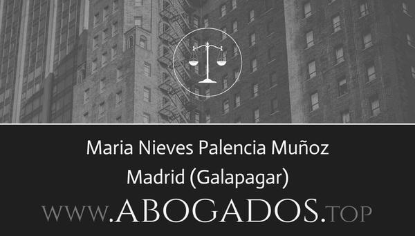 abogado Maria Nieves Palencia Muñoz en Galapagar