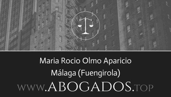 Maria Rocio Olmo Aparicio