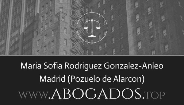 abogado Maria Sofia Rodriguez Gonzalez-Anleo en Pozuelo de Alarcon