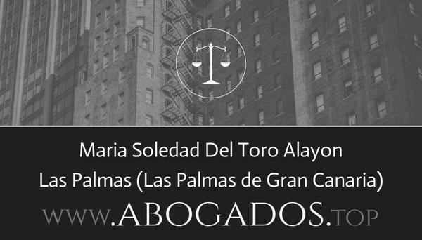 abogado Maria Soledad Del Toro Alayon en Las Palmas de Gran Canaria