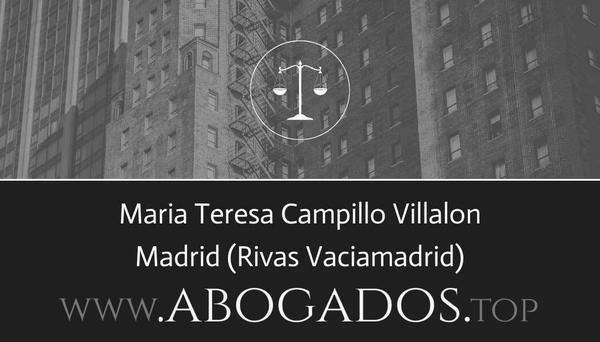 Maria Teresa Campillo Villalon